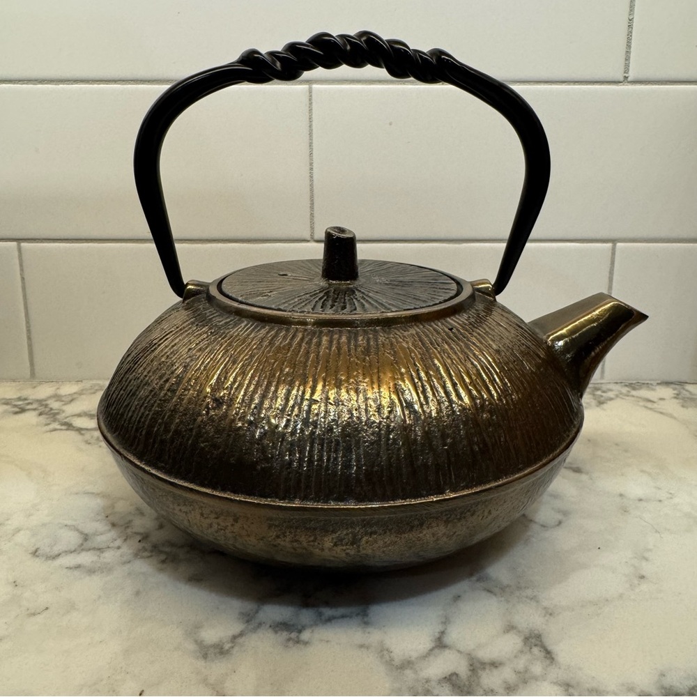 Japanese traditional cast iron tea pot with strainer 🫖